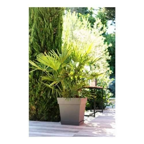 Posuda EDA Tuscan Taupe Boja Plastika Kvadratno Ø 50 cm (49,5 x 49,5 x 52,5 cm) Cijena