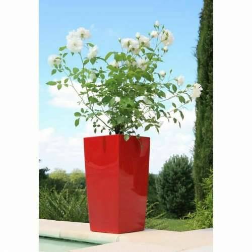 Posuda Riviera Crvena Plastika Kvadratno Okruglo moderan 29 x 29 x 52 cm 29 x 29 cm Cijena