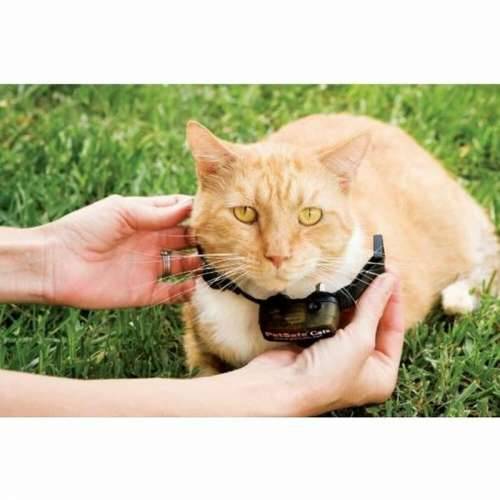 Mačja ogrlica PetSafe Prf-3004xw-20 Cijena