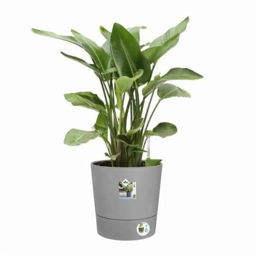 Posuda Elho Siva Ø 43 cm Cijena