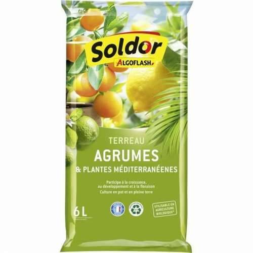 Zemlja za tegle Algoflash TAGRUM6 Citrusi Mediteran 6 L Cijena