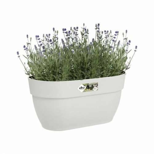 Posuda Elho 3662603645100 Bijela Plastika Pravokutno moderan 24 x 36 x 26,5 cm Cijena