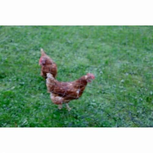 ograda Kerbl Crna 5 x 10 m Cijena