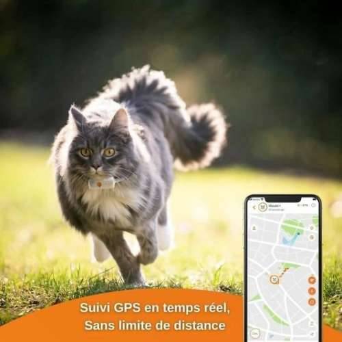 Lokalizator Izgubljenog Uređaja Weenect Weenect XS GPS mačka Bijela Cijena