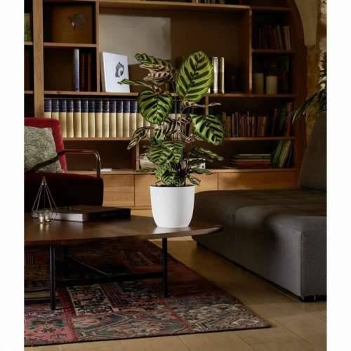 Posuda EDA Opal Chape Bijela Ø 29,5 cm Cijena