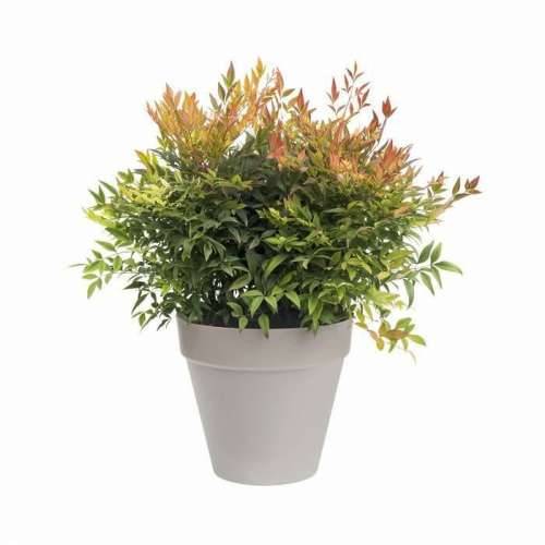 Posuda Elho   Okruglo Tamno sivo Ø 30 cm Cijena
