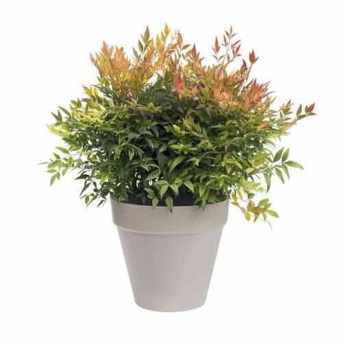 Posuda Elho Loft Urban Okruglo Siva Ø 40 cm Cijena
