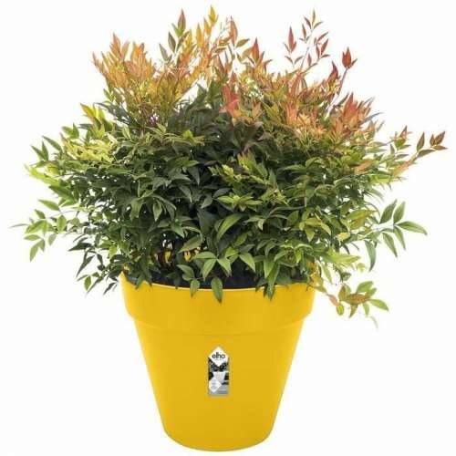 Posuda Elho   Okruglo Plastika Ø 40 cm Cijena