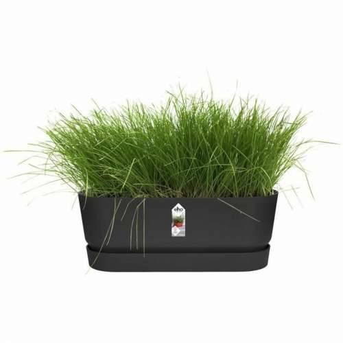 Žardinijera Elho   Crna 50 cm Plastika Ovalan Cijena