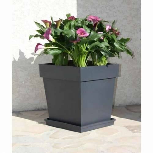 Posuda EDA Siva polipropilen Plastika 39 cm 39 x 39 x 39 cm Cijena