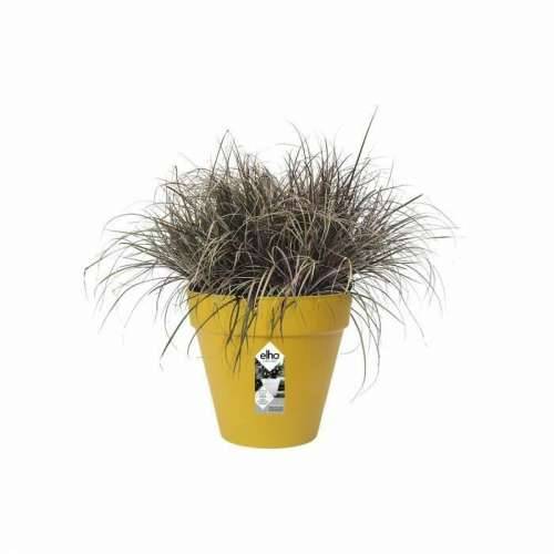 Posuda Elho Loft Urban 25 Rumena Ø 24,5 x 22,2 cm Cijena