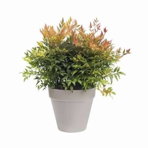 Posuda Elho Urban Siva Okruglo Ø 20 cm Cijena