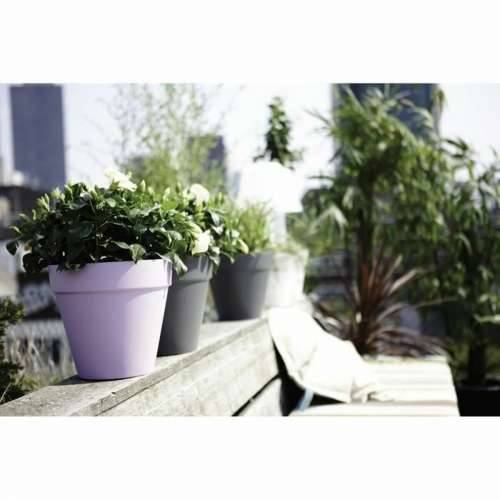 Posuda Elho Urban Siva Okruglo Ø 20 cm Cijena