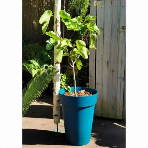 Posuda Riss 53 cm Plava Plastika Cijena