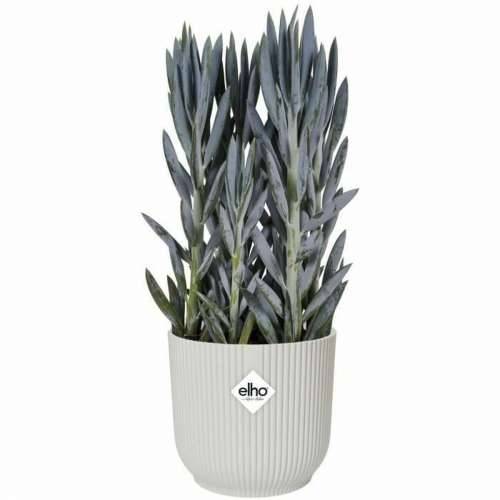 Posuda Elgato Bijela Ø 30 cm Plastika Okruglo moderan Cijena