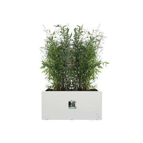 Posuda Elho 59 x 30 x 29 cm Bijela Plastika Pravokutno moderan Cijena
