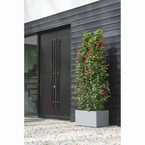 Posuda Elho Bijela 59 x 30 x 29 cm Plastika Pravokutno moderan Cijena