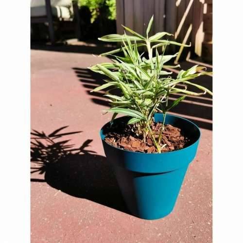 Posuda Riviera Plava Ø 55 cm Cijena