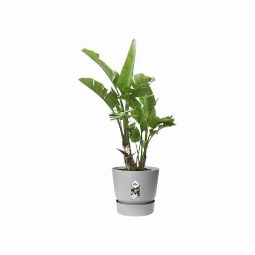 Posuda Elho Siva Plastika Okruglo moderan Ø 47 cm Cijena