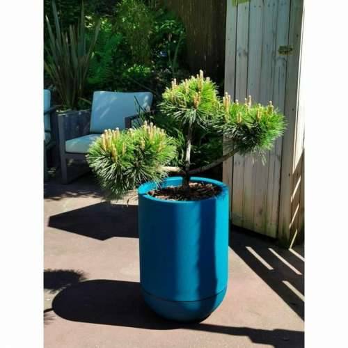 Posuda Riviera Plava Ø 40 cm Cijena