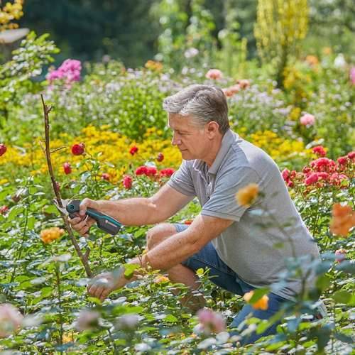 Škare za obrezivanje na baterije Gardena Bypass Cijena