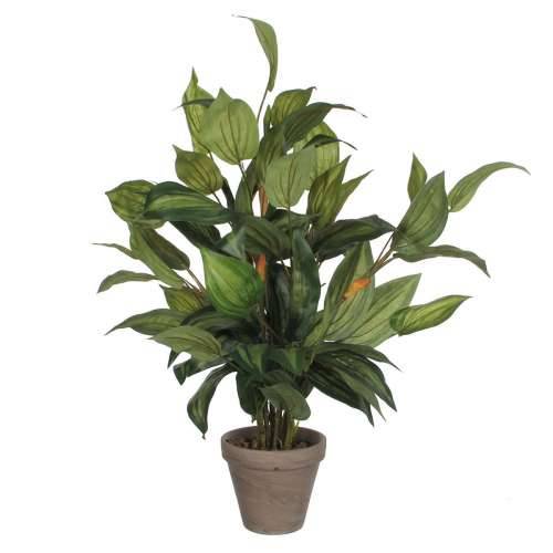 Ukrasna Biljka Mica Decorations Hosta Zelena PVC (15,5 x 65 cm) Cijena
