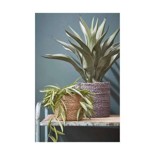 Set Košara Mica Decorations 3 Dijelovi Smeđa ispleten od pruća Cijena