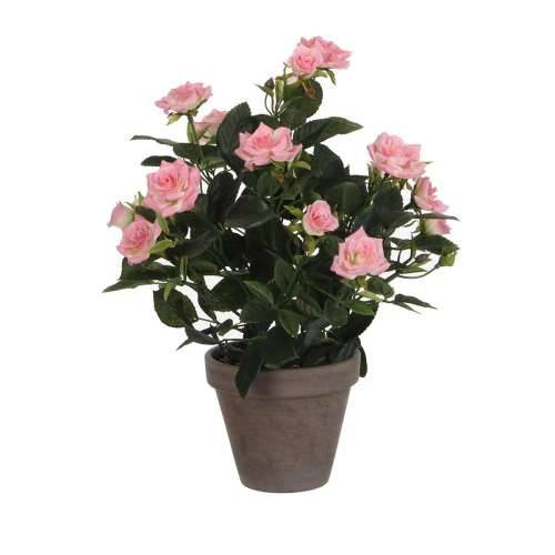 Ukrasna Biljka Mica Decorations Rosal Keramika PVC Cijena
