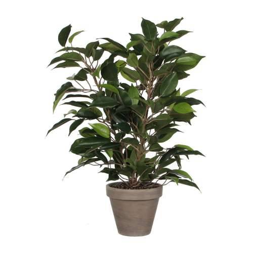 Ukrasna Biljka Mica Decorations 40 x 30 cm Keramika Zelena PVC Smokva Cijena