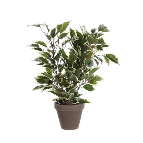 Ukrasna Biljka Mica Decorations 4 x 11,5 cm Keramika PVC Smokva Cijena