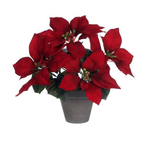 Ukrasna Biljka Mica Decorations Crvena PVC Cijena