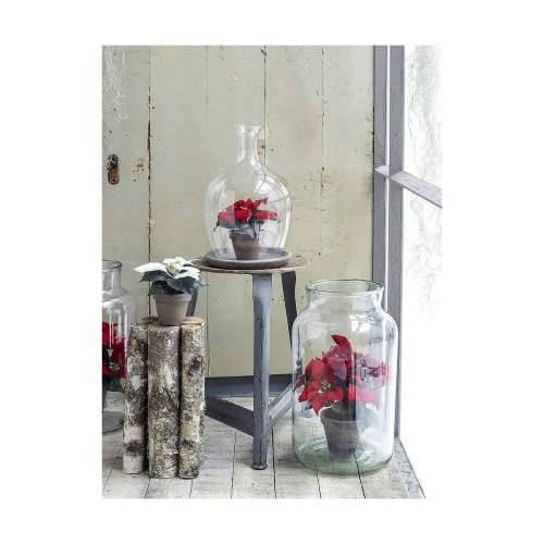 Ukrasna Biljka Mica Decorations Crvena PVC Cijena