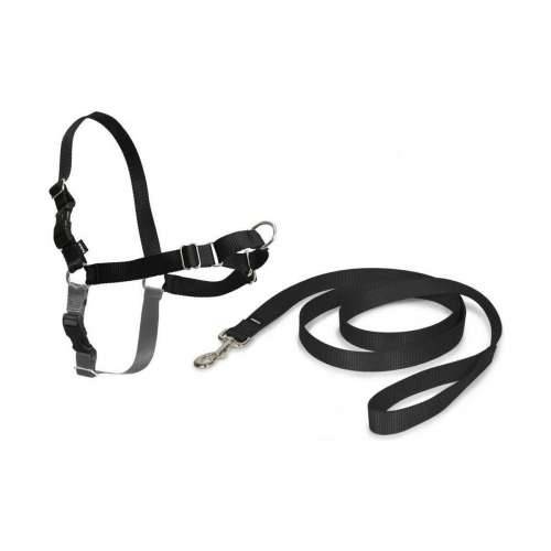 Orma za Kućne Ljubimce PetSafe Easy Walk Crna Medianav (M) Cijena