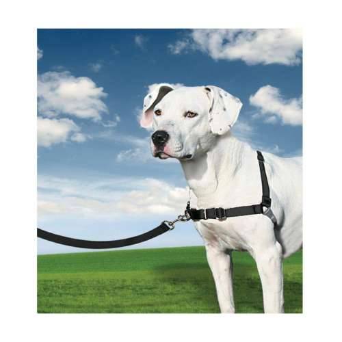 Orma za Kućne Ljubimce PetSafe Easy Walk Crna Medianav (M) Cijena