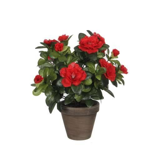 Ukrasna Biljka Mica Decorations 10,5 x 21,5 x 15 cm azaleja Cijena