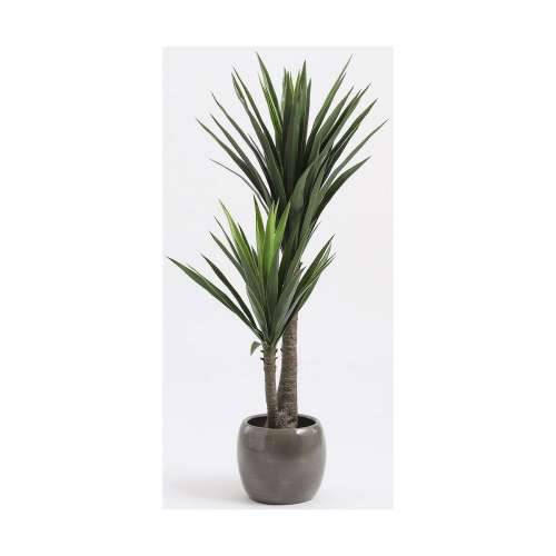 Ukrasna Biljka Mica Decorations Yucca (120 x 60 cm) Cijena