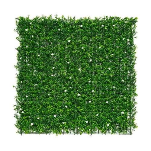 Ukrasno cvijeće Nortene vrt Vertikalno Zelena 100 x 100 cm Cijena