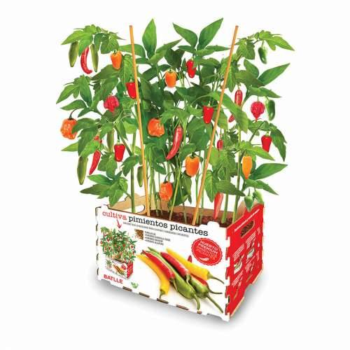Set za uzgoj Batlle Paprika Začinjeno 30 x 19,5 x 16,2 cm Cijena