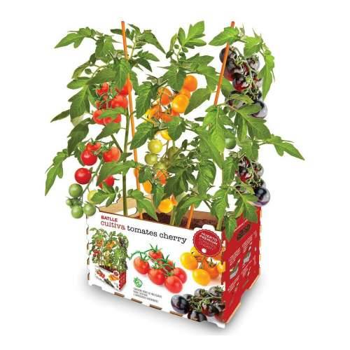 Set za uzgoj Batlle Prirodne rajčice 30 x 19,5 x 16,2 cm Cijena