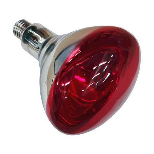 Infracrvena žarulja Philips 923212043801 250 W E27 Cijena