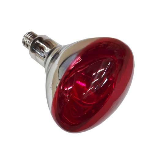 Infracrvena žarulja Philips 923212043801 250 W E27 Cijena