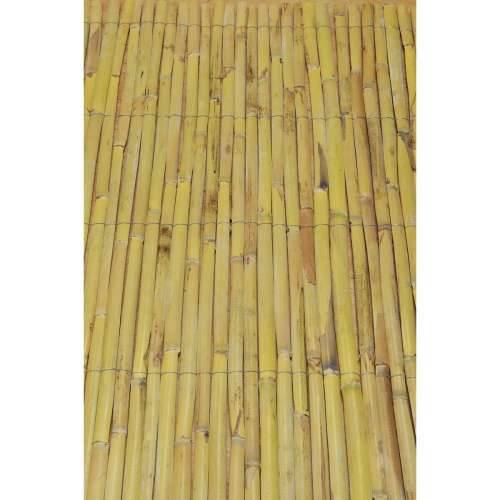 Paravan od trske Faura f10001 1 x 5 m Cijena