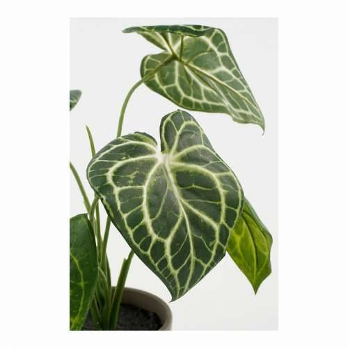 Ukrasna Biljka Mica Decorations Caladium Ø 21 x 28 cm Umjetna Cijena