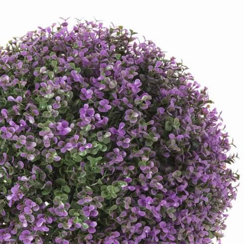 Ukrasna Biljka   Bumba Lavanda 20 x 20 x 20 cm Cijena
