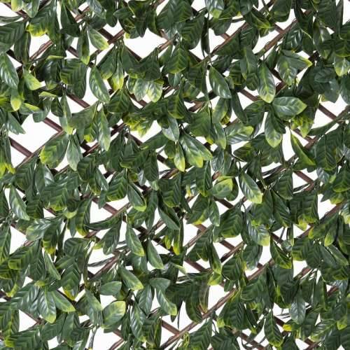 Pijetlova krijesta Natural Laurel ispleten od pruća Bambus 2 x 200 x 100 cm Cijena