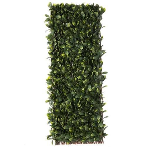 Pijetlova krijesta Natural Laurel ispleten od pruća Bambus 2 x 200 x 100 cm Cijena