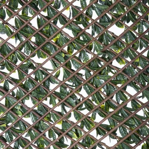 Pijetlova krijesta Natural Laurel ispleten od pruća Bambus 2 x 200 x 100 cm Cijena