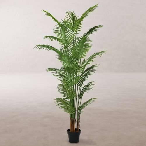 Ukrasna Biljka Poliuretan Cement Areca 210 cm Cijena