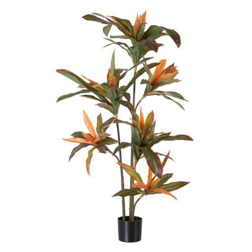 Ukrasna Biljka Dracaena Smeđa Zelena PVC 140 cm Cijena