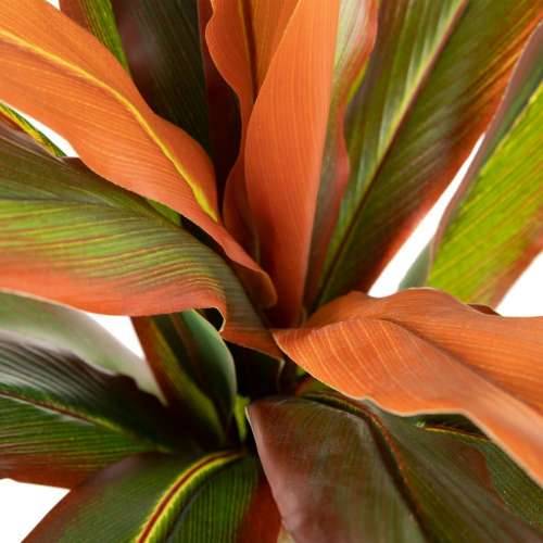 Ukrasna Biljka Dracaena Smeđa Zelena PVC 140 cm Cijena
